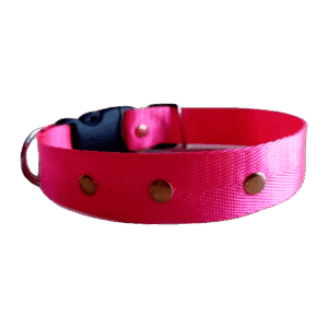 COLLAR NYLON RESISTENTE (Talla M)
